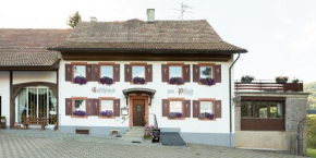 Hotel Landgasthof zum Pflug